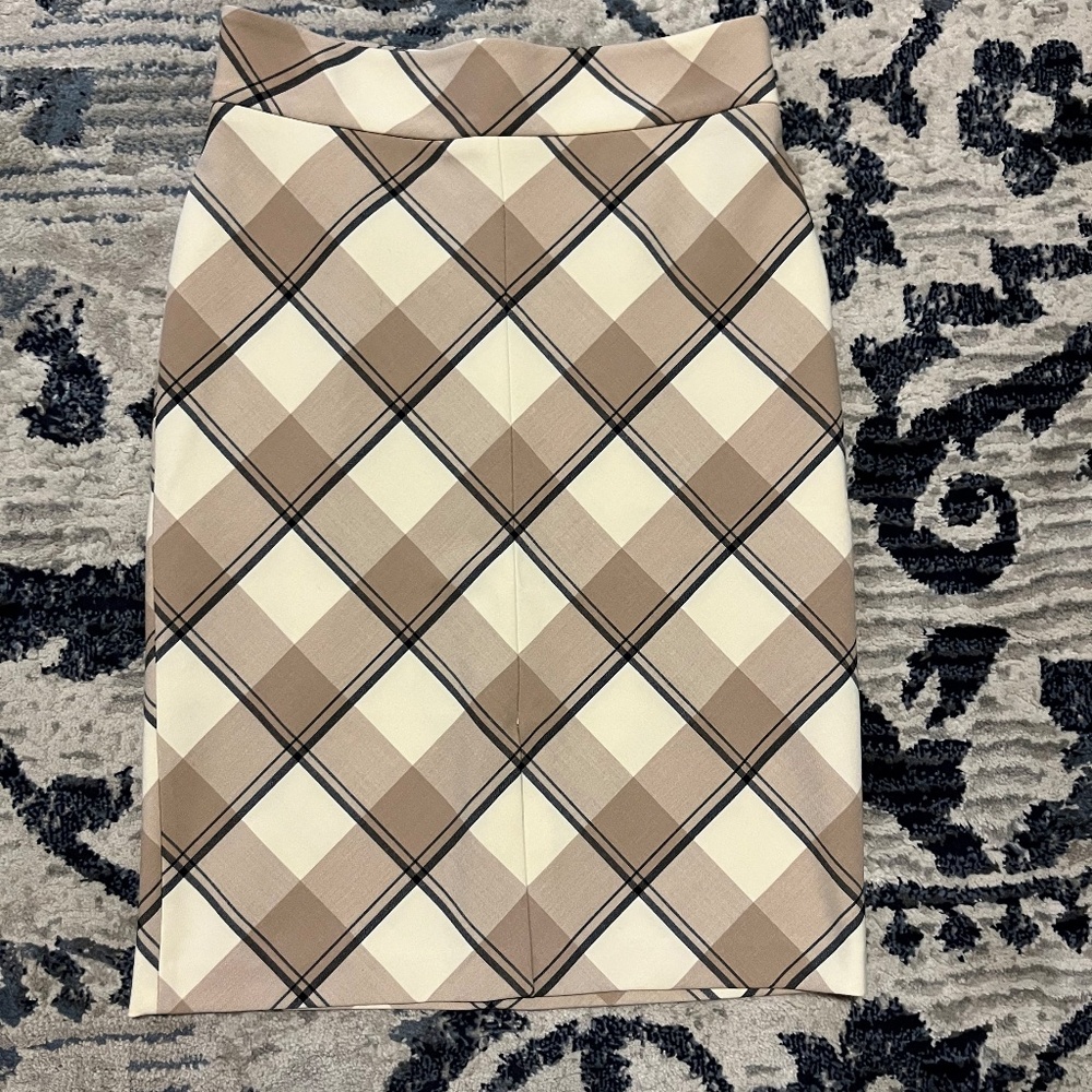 Ann Taylor Skirt (8P)